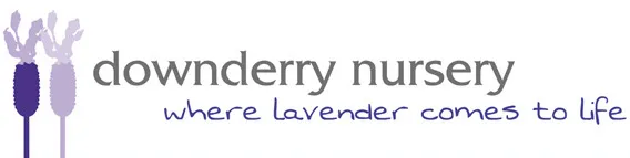 downderry-nursery.co.uk